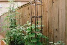 15 a raised wooden garden bed with lots of greenery and blooms, with metal tiered metal stands for vines is a smart solution