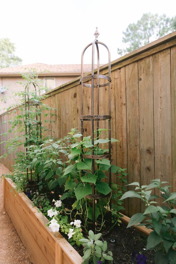 a raised wooden garden bed with lots of greenery and blooms, with metal tiered metal stands for vines is a smart solution