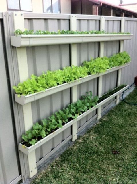 a simple and smart vertical garden attached to the metal fence is a lovely idea to get some herbs and fresh greenery without sacrificing lawn