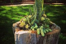 21 a creative tree stump planter with various types of succulents is a lovely idea for a rustic garden or outdoor space, use your old stump to make one