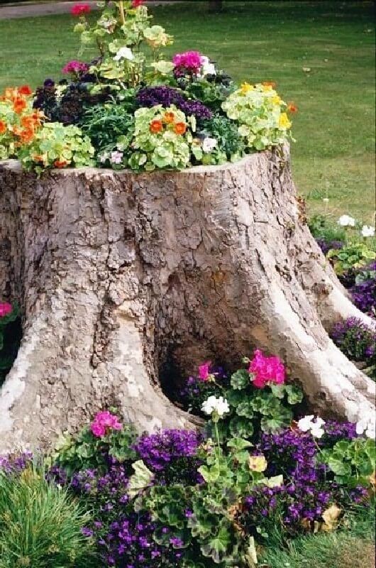 a large tree stump with greenery and bright blooms is a cool planter alternative - it's a natural way to repurpose an old stump you don't need
