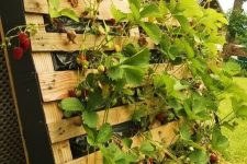 23 a vertical pallet garden for strawberry is a great idea for any rustic space, and great if you love to DIY