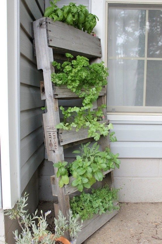 a vertical tiered garden of reclaimed wood, with lots of greenery and plants is a lovely solution for a rustic outdoor space