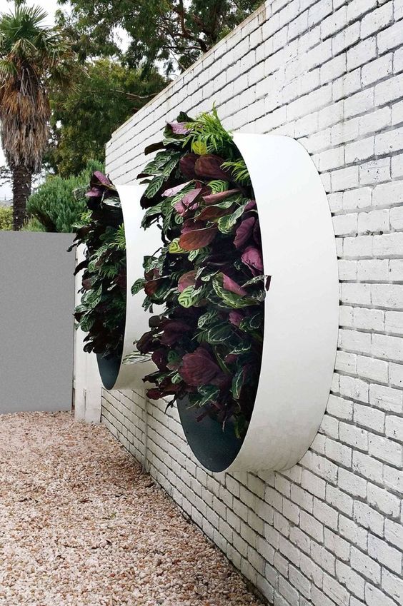 a white brick wall and white round metal planters with lots of greenery and foliage that are a spectacular modern decoration for your space