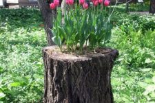 29 a tree stump turned into a planter for tulips is a lovely idea for any garden, it looks chic and bright and brings interest to the space
