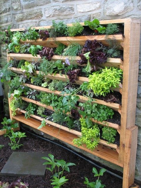 a wooden vertical garden with tiered planters and lots of herbs is a perfect solution if you have no space but want fresh herbs