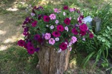 32 a tree stump with super bright blooms and greenery is a gorgeous idea for any rustic garden and it will accessorize your space in a cool way