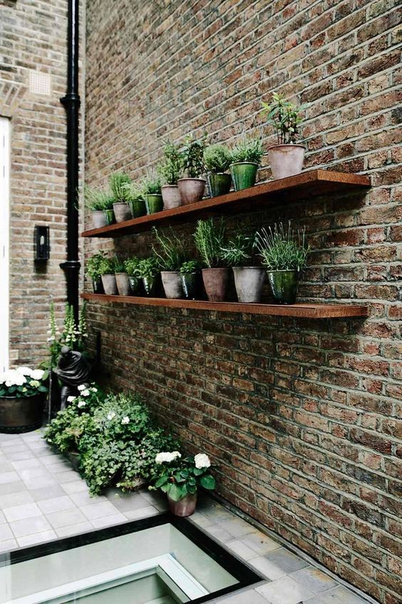 simple wooden shelves with rows of planters with blooms and herbs are the easiest and most evident solution for any space