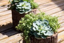 35 tree stumps with greenery, succulents and white blooms are amazing for a rustic garden space, they look natural and pretty