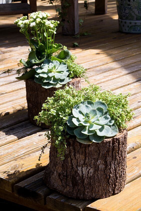 tree stumps with greenery, succulents and white blooms are amazing for a rustic garden space, they look natural and pretty