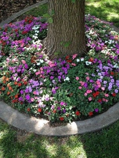 a tree surrounded with a garden bed with colorful blooms and greenery that cover the ground and add color to the garden at the same time