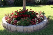 11 a super bold raised garden bed accents the tree and adds color to the garden making it brighter, these flowers aren’t damaged by excessive sunshine