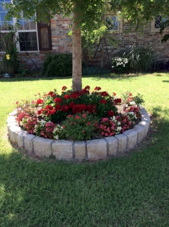 a super bold raised garden bed accents the tree and adds color to the garden making it brighter, these flowers aren't damaged by excessive sunshine