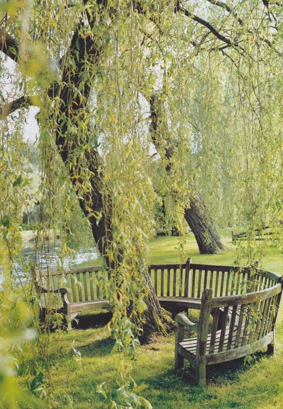 a curved wooden bench around the tree is a lovely piece to sit on, it's a great space to have a rest and enjoy the views