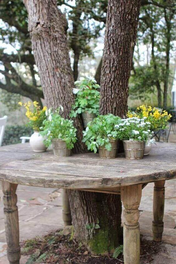 a potting bench around the tree, with lots of potted greenery and blooms is a lovely idea for your garden, a fresh space for gardening