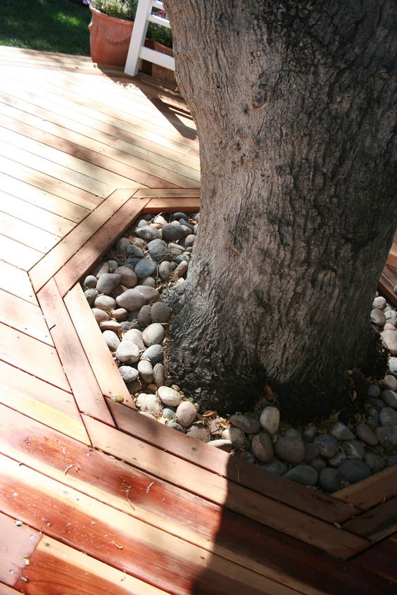 a living tree surrounded with a deck and accented with large pebbles is a lovely idea for any garden or outdoor space