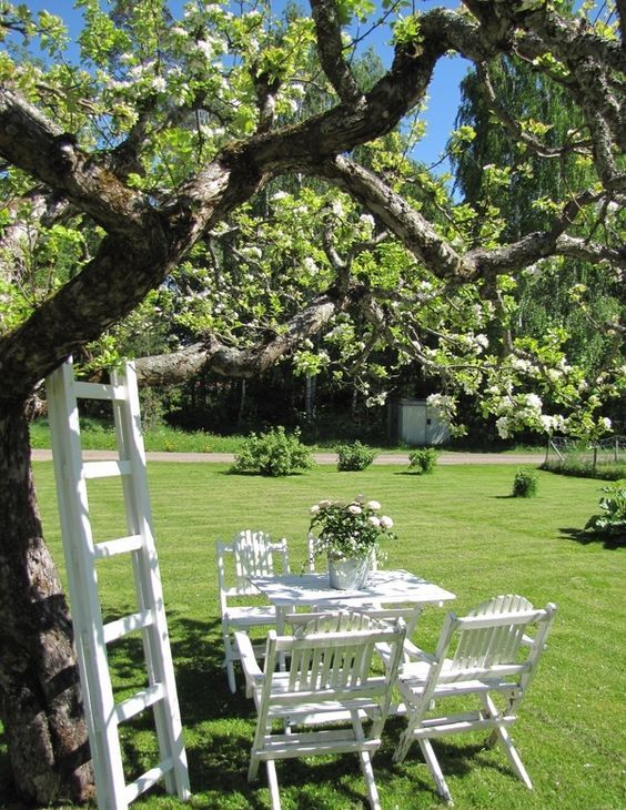 a relaxed white dining spot around the tree, with white blooms, a ladder next to the tree is a lovely space for summer