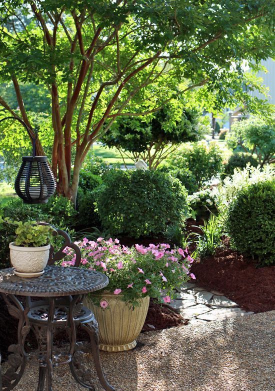 a tree with some shrubs around it, with potted blooms and a metal side table and chair as a little terrace right under the trees