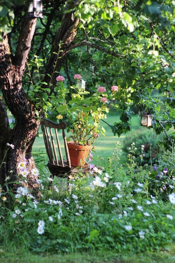 a vintage chair placed under the tree, with potted blooms and blooms around the treee form a cool outdoor nook