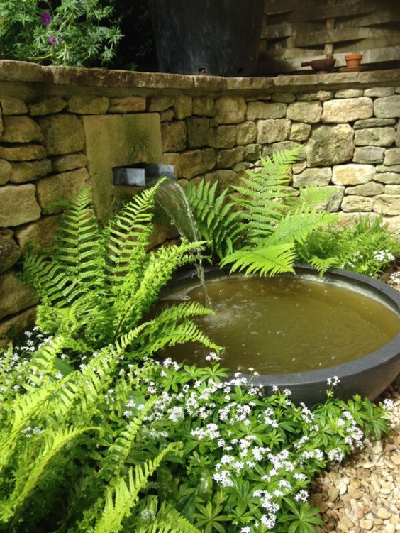 a modern waterfall inserted in the wall, with a bowl surrounded with greenery and white blooms is a lovely idea for a modern garden