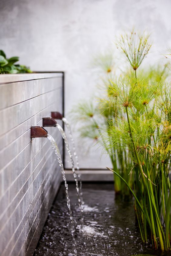 a modern Zen-inspired garden waterfall with several faucets, with a rectangular bowl to catch water and some plants
