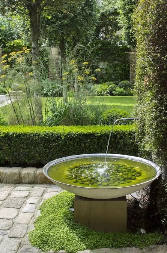 a modern and super simple fountain of a bowl with pebbles is very cohesive with what's around it