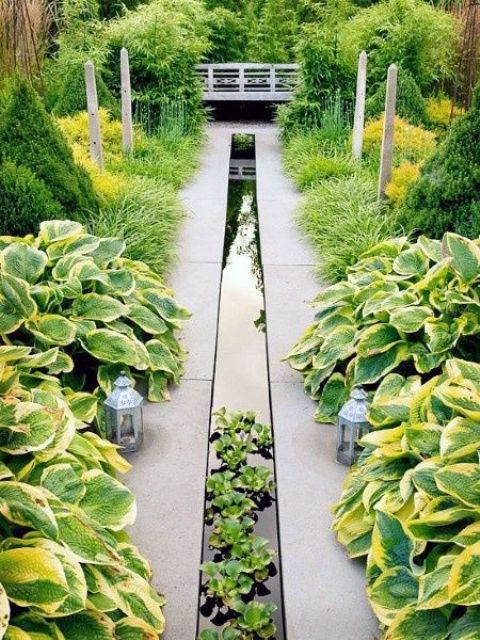 a modern narrow water garden with water plants is a very refreshing idea for this garden, it adds interest to the space