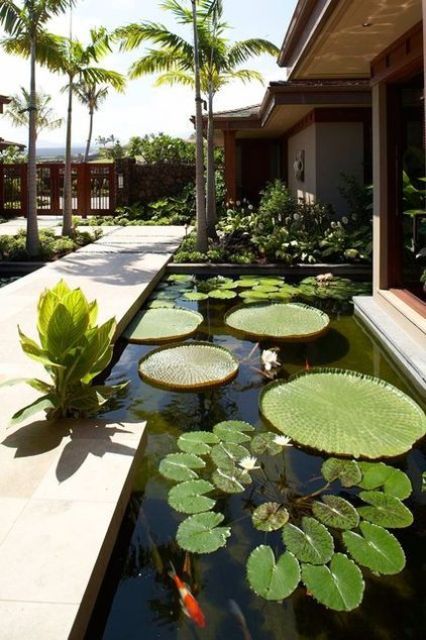 a modern outdoor space clad with stone, with lots of greenery and trees and a modern pond is a lovely and chic nook