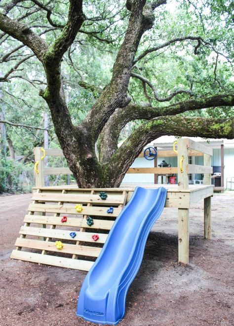 a platform built around a living tree, with a climbing wall and a blue slide is a cool space for kids' playing and having fun