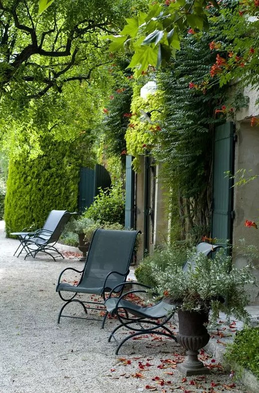 a Provence outdoor space with metal chairs, potted plants and blooms, vines and greenery climbing up the wall of the house