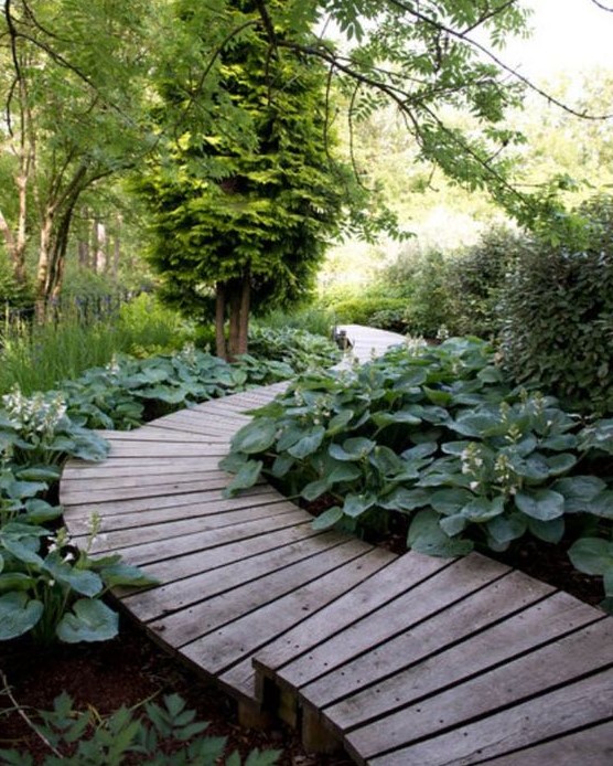 a beautiful wooden path going down and surrounded with greenery completely looks fresh and pretty in any garden a beautiful wooden path going down and surrounded with greenery completely looks fresh and pretty in any garden