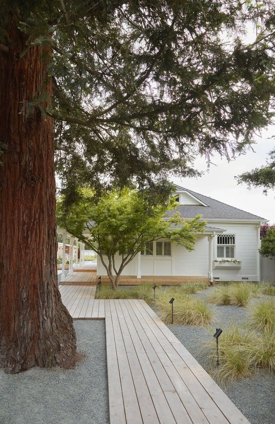 a classic light stained wooden walkway with gravel around, grasses and spotlights is a great idea for a modern or contemporary space a classic light-stained wooden walkway with gravel around, grasses and spotlights is a great idea for a modern or contemporary space