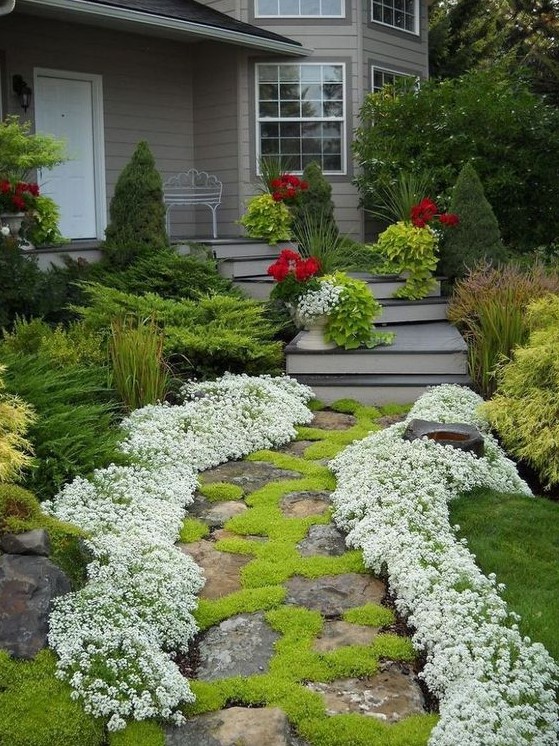 a front yard pathway of stone decorated with moss and with white blooms lining up the path