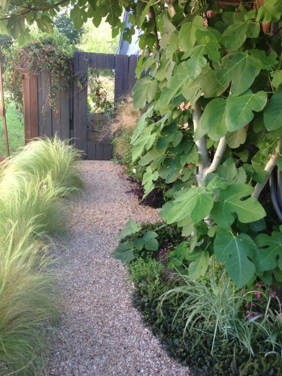 a green garden with trees and grasses and a gravel pathway looks very modern, stylish and eye catchy