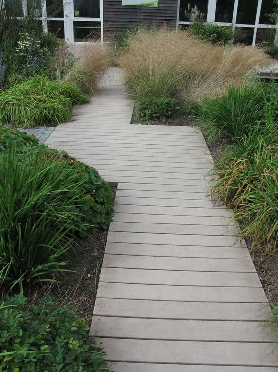 a neutral wooden plank path surrounded with shrubs and greenery looks ethereal and is a perfect fit for a beach cottage garden a neutral wooden plank path surrounded with shrubs and greenery looks ethereal and is a perfect fit for a beach cottage garden