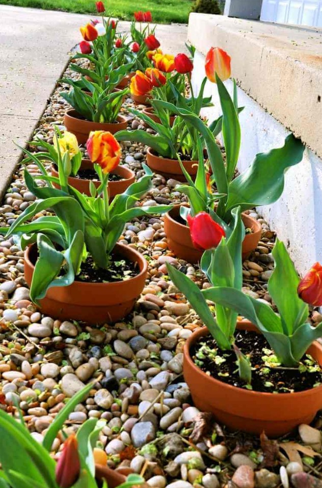 a potted pathway with pebbles makes the space welcoming, beautiful and the pots can be changed