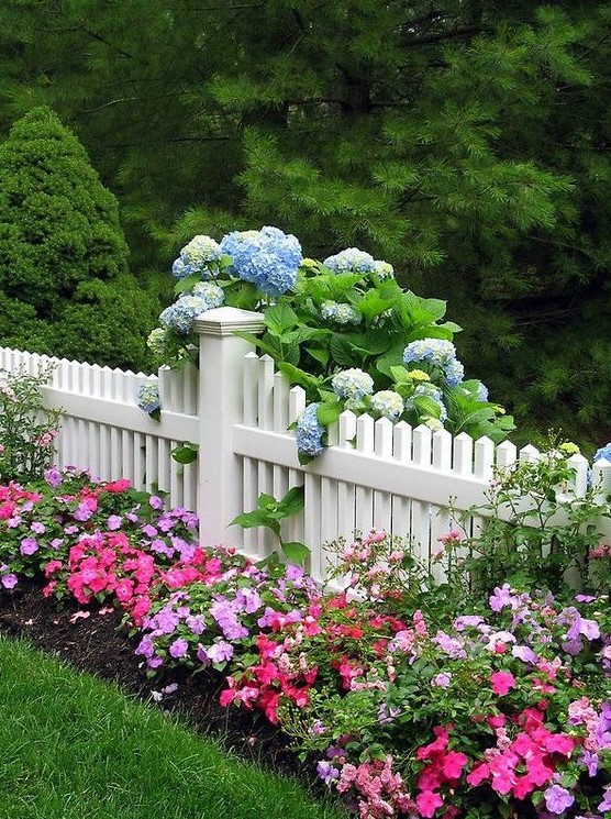 a pretty white picket fence with blue hydrangea and pink impatients for raising curb appeal