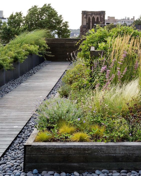 a simple and stylish weathered wood walkway with built in lights and grey pebbles around and greenery a simple and stylish weathered wood walkway with built-in lights and grey pebbles around and greenery