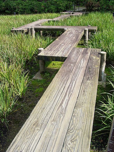 a sturdy and super raised wooden walkway is a great solution for damp and swamp-like spaces and rainy climates