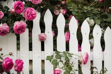 a white picket fence paired with bold pink blooms looks gorgeous, romantic and very inviting