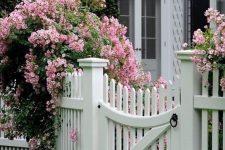 a white picket fence with lush pink blooms that contrast and highlight the space with their volume and bright colors