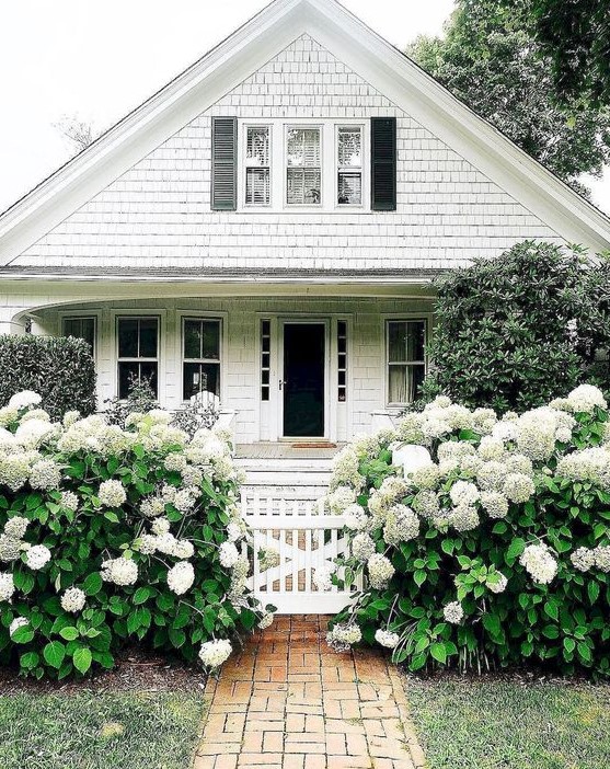 a white picket fence with lush white blooms and greenery all around make the front yard dreamy