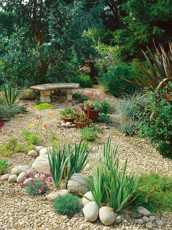 a wild looking garden with lot sof greenery and shrubs, with potted plants and a stone bench, with gravel pathways