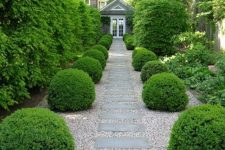 an elegant and refined garden space with a gravel path and stone steps, sphere bushes and trees around