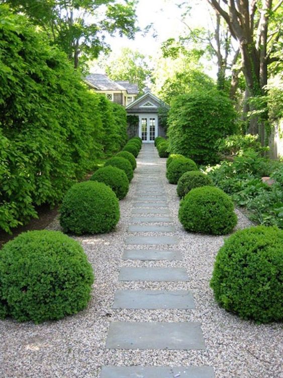 an elegant and refined garden space with a gravel path and stone steps, sphere bushes and trees around