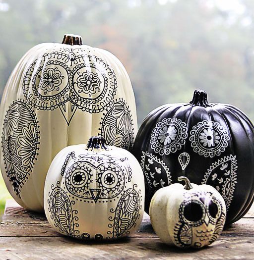 black and white pumpkins decorated with black and white sharpies, portraying owls, are a great idea for a boho Halloween