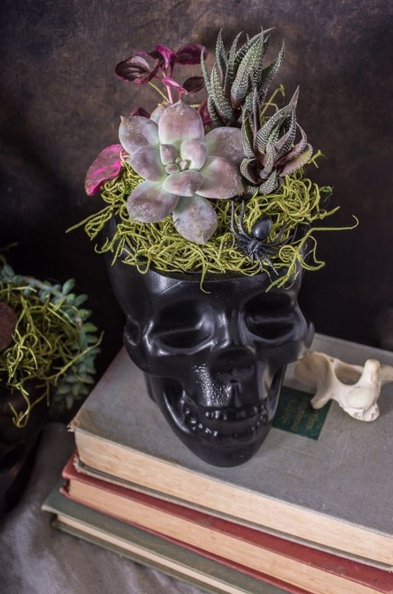 a black skull used as a planter for succulents, with yarn and a spider is a bold Halloween decoration with plenty of style