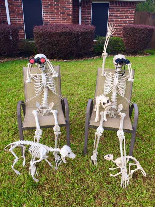 a fun skeleton Halloween scene with skeletons sunbathing, a skeleton cat and dog is a cool idea