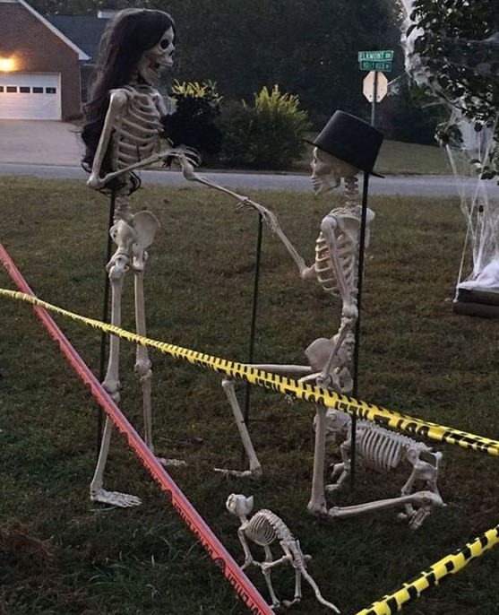 a romantic Halloween scene with skeletons proposing and some skeleton dogs is a very cool and lovely idea to rock