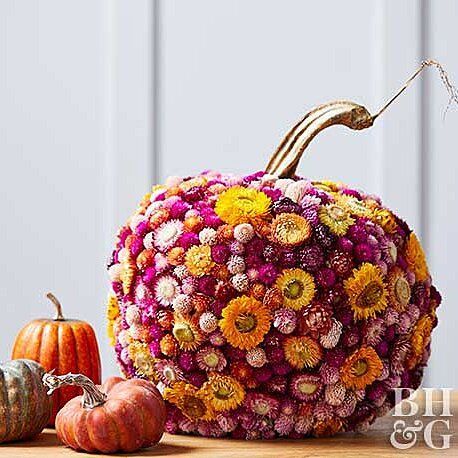 a pumpkin fully covered with bright dried blooms is a beautiful and chic solution for a fall or Thanksigiving party